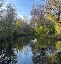 DBT or Dialectical Behaviour Therapy